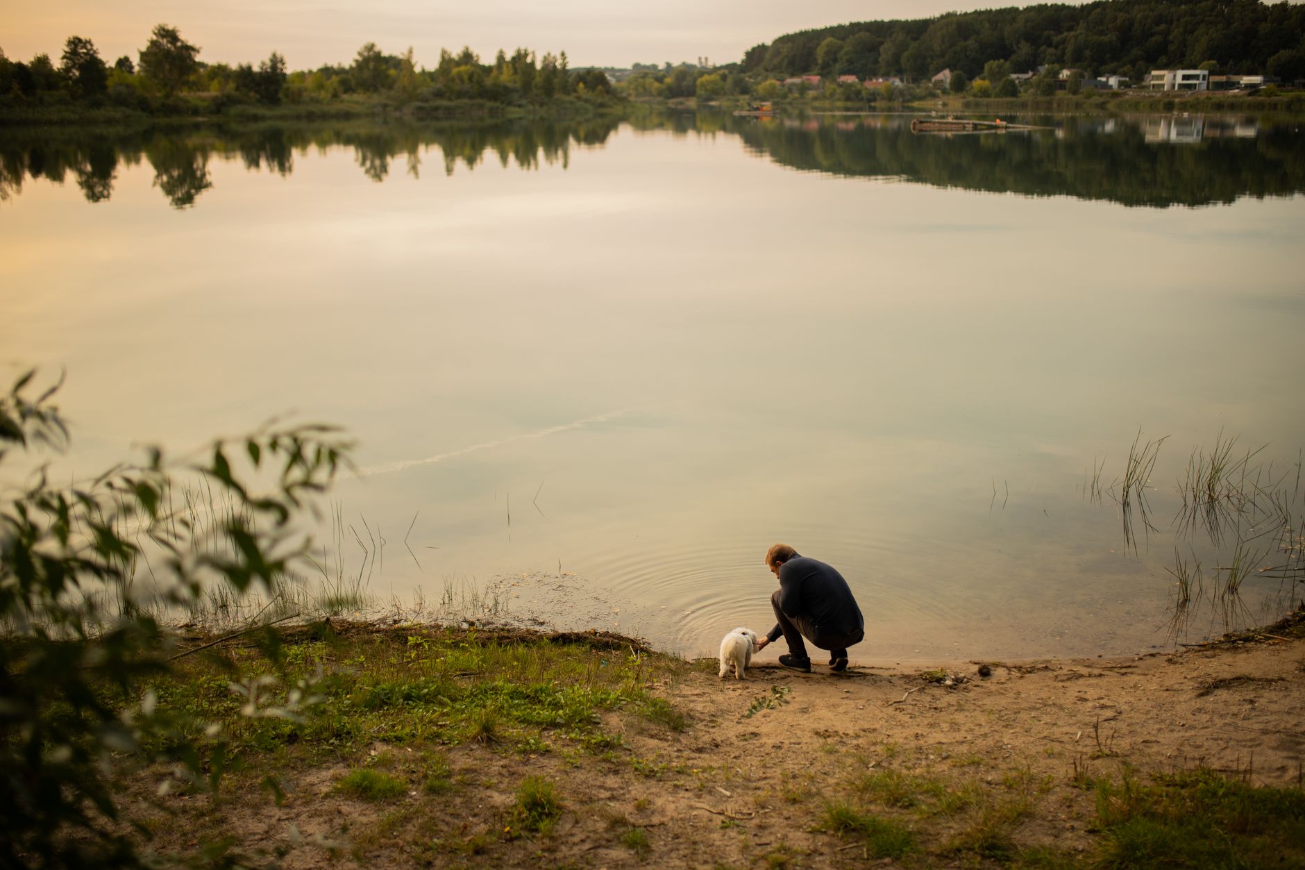 A person crouching at the edge of a still lake at dusk beside a small white dog