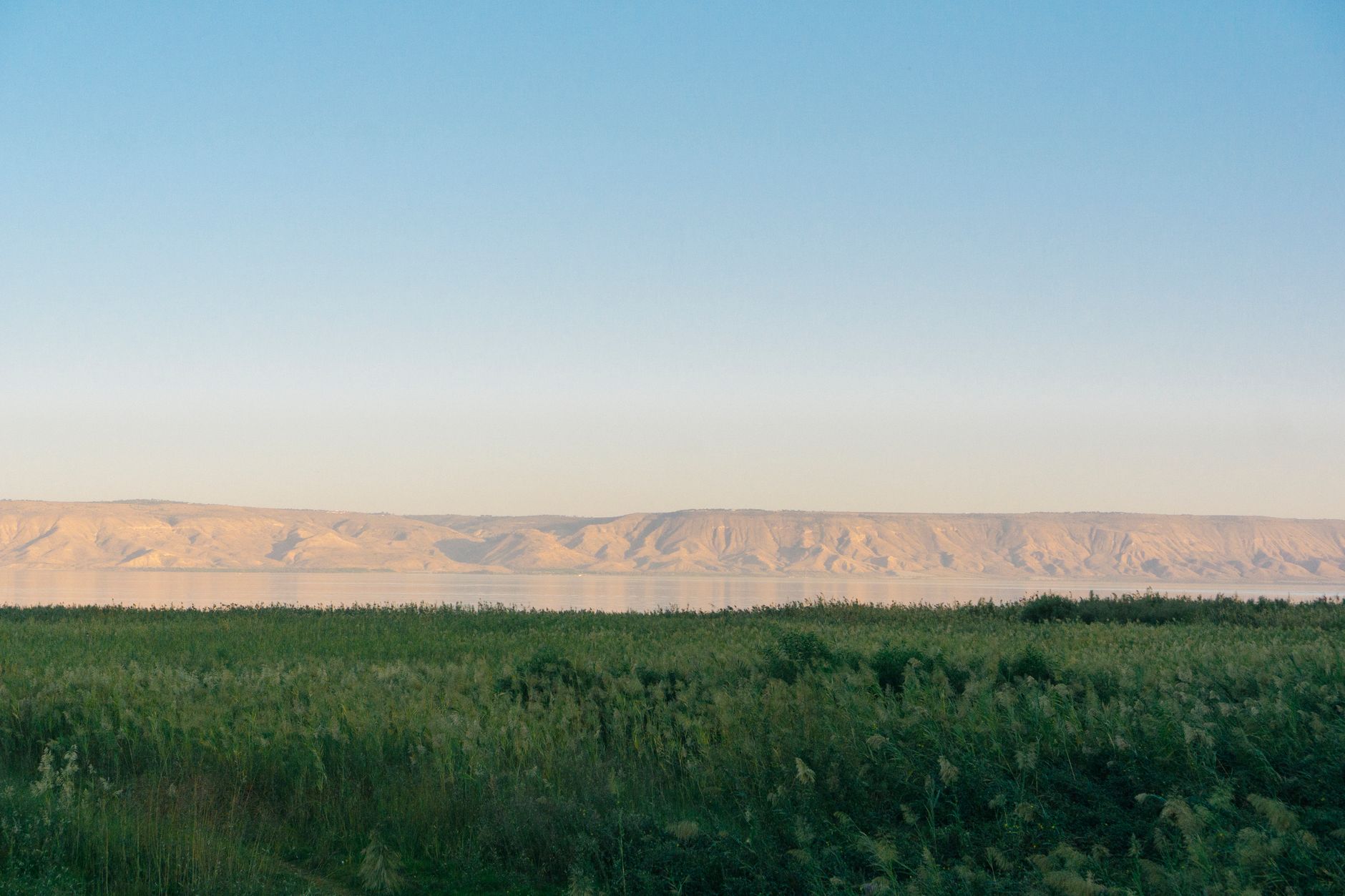 The Sea of Galilee at first light, reeds in the foreground and the far hills catching the sun