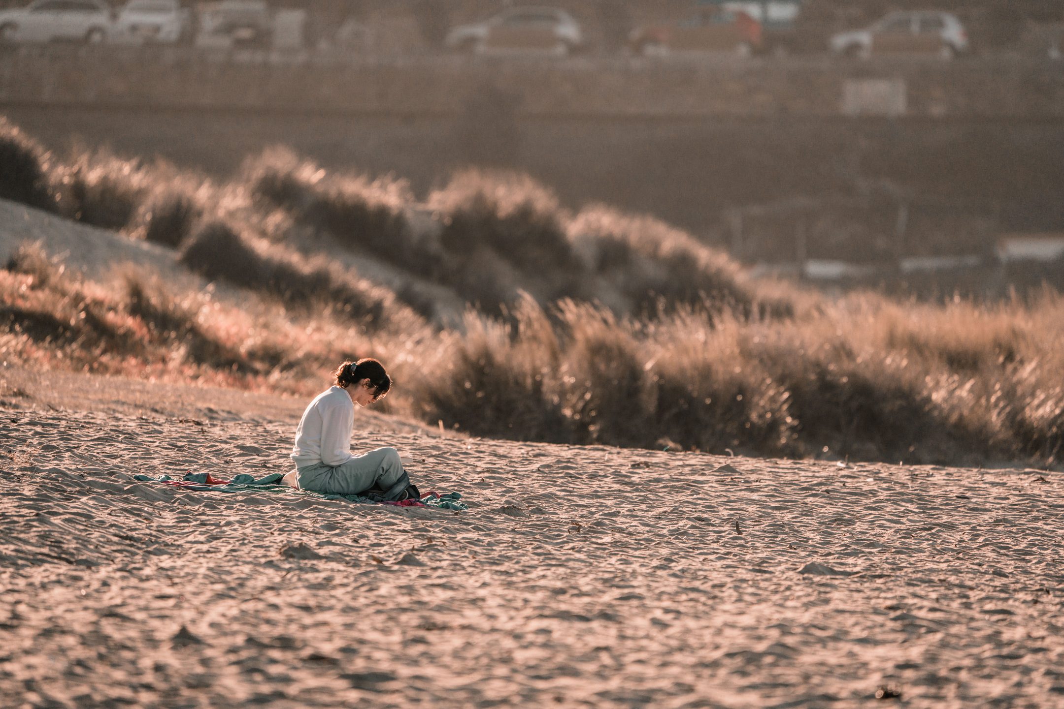 A woman sitting alone on a sunlit beach among dune grass