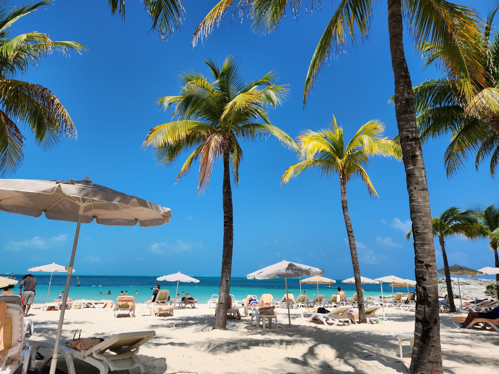 Palm trees and white umbrellas line a sandy beach under bright blue sky