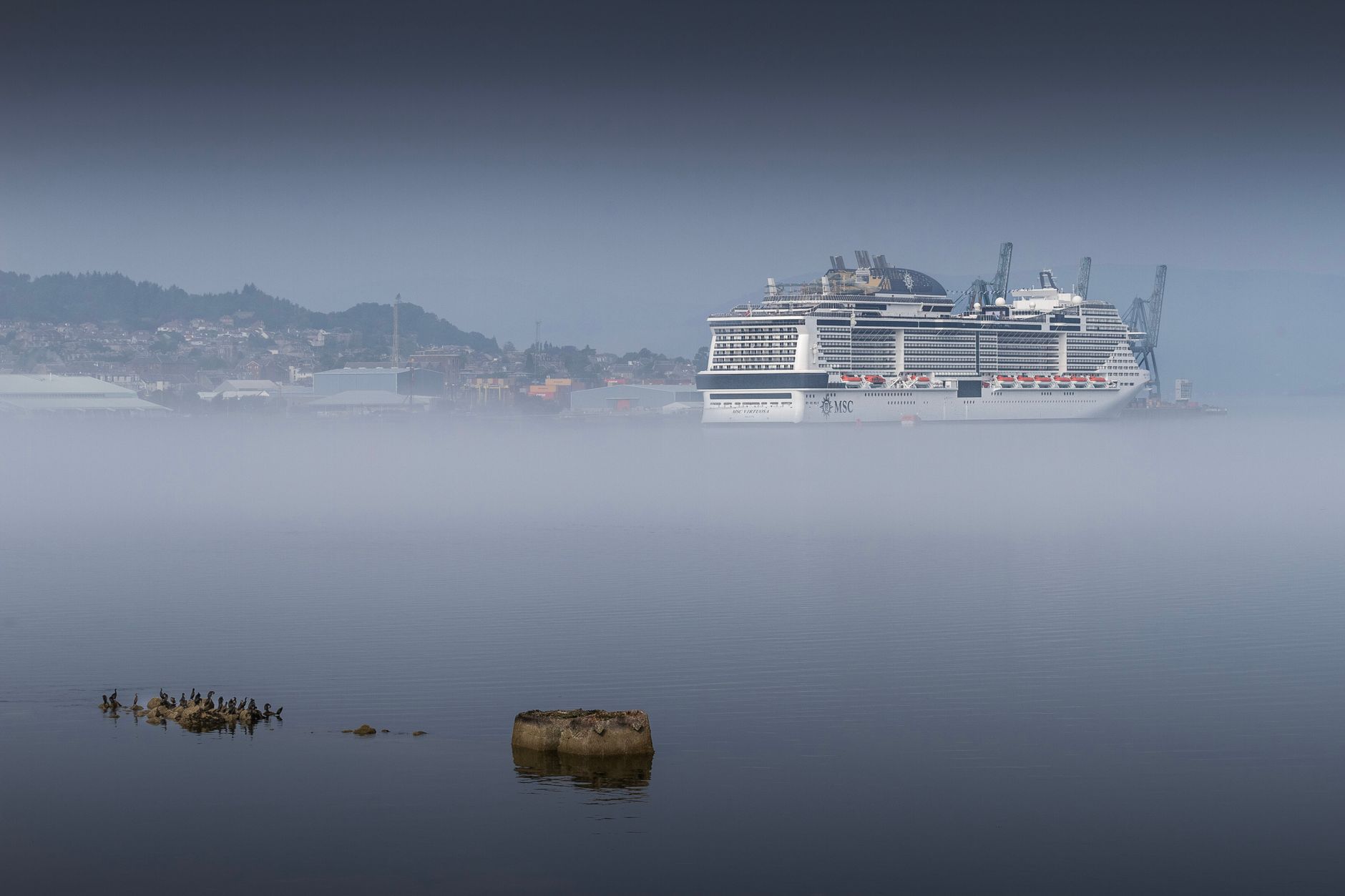 A large MSC cruise ship sits docked in foggy harbor with birds perched on nearby rocks