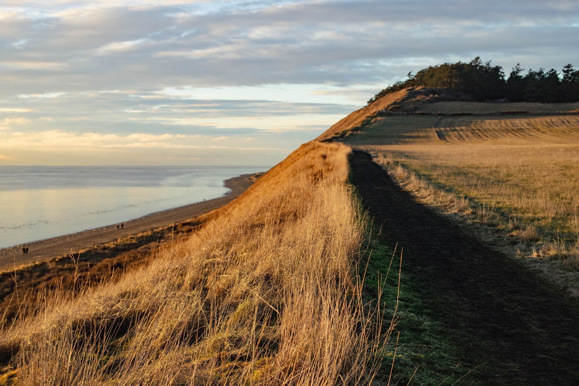 A grassy coastal bluff slopes toward a sandy beach under warm low-angle sunlight